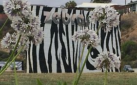 Zebras Guesthouse